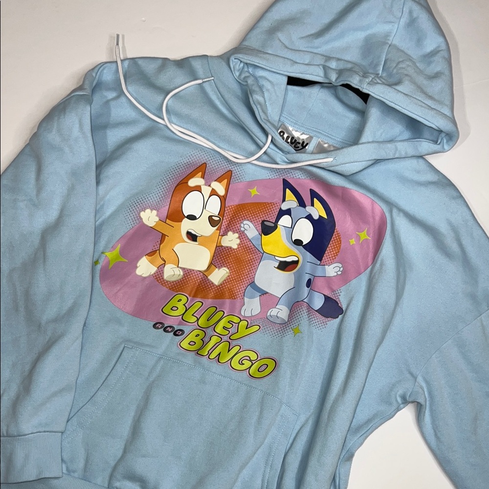 Bluey Adult Hoodie - Light Blue - Picture 1 of 7